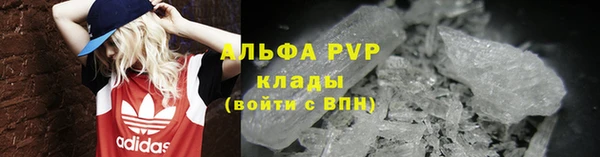 индика Баксан