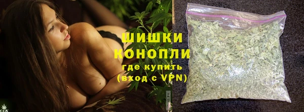 индика Баксан