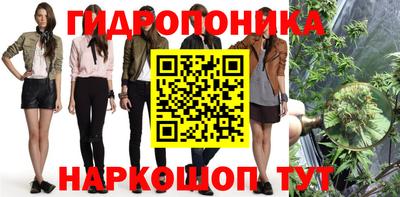 стафф Абакан