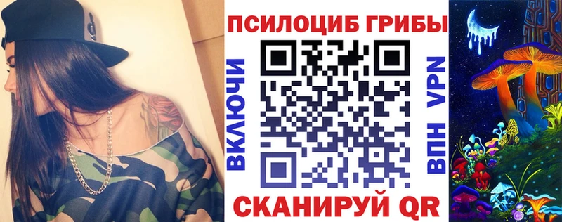 Псилоцибиновые грибы Psilocybe Алексеевка