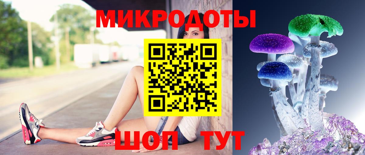 Псилоцибиновые грибы Psilocybine cubensis  цена   Вход с VPN  Алексеевка  Псилоцибиновые грибы мицелий 